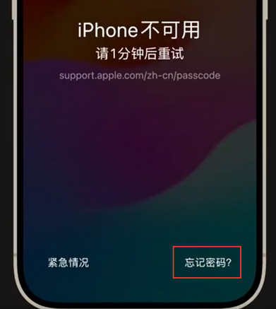 仪陇苹果手机密码维修分享iPhone忘记了刚设置的密码 