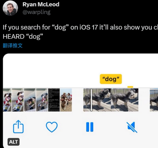 仪陇apple维修店分享通过关键字搜索iPhone视频内声音 