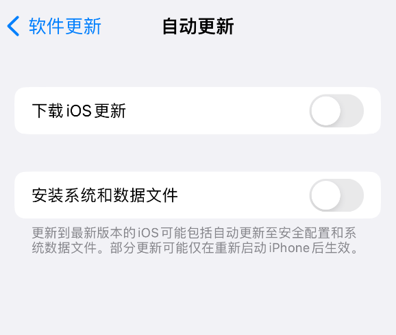 仪陇苹果14维修分享iPhone 14 系列机型如何关闭系统更新 