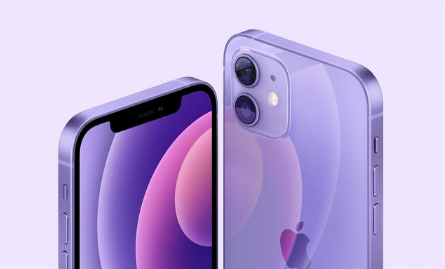 仪陇苹果手机维修分享紫色版iPhone 12有什么技术亮点 