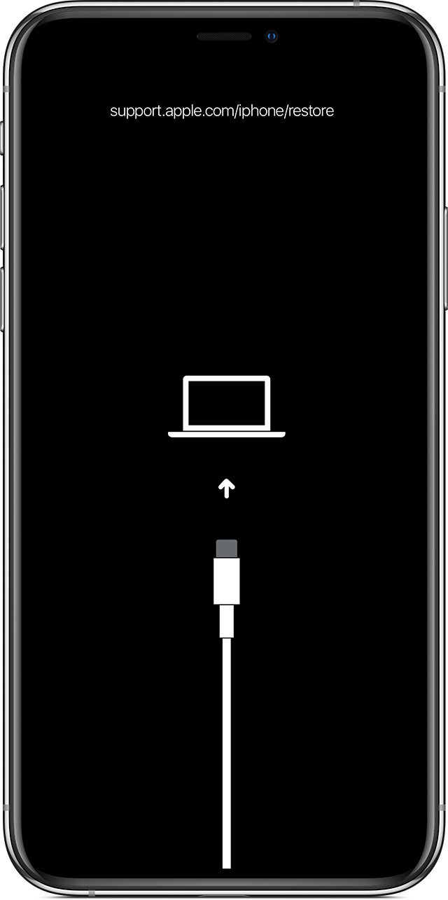 仪陇苹果手机维修分享iPhone 输入锁屏密码出现方框，且原密码不正确怎么办 