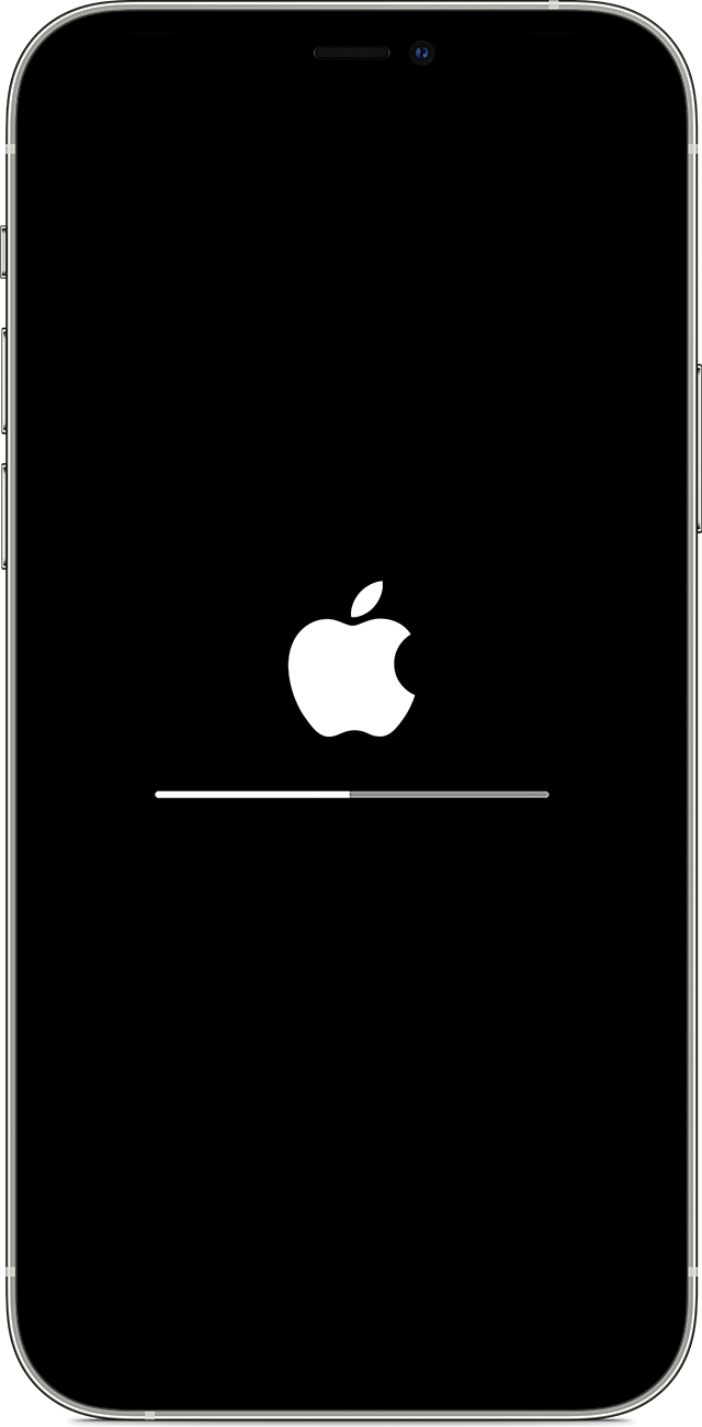 仪陇苹果手机维修分享iPhone 12 无法更新系统、出现报错的解决办法 
