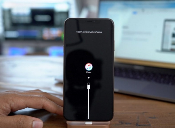 仪陇苹果手机维修分享iPhone12进DFU教程 